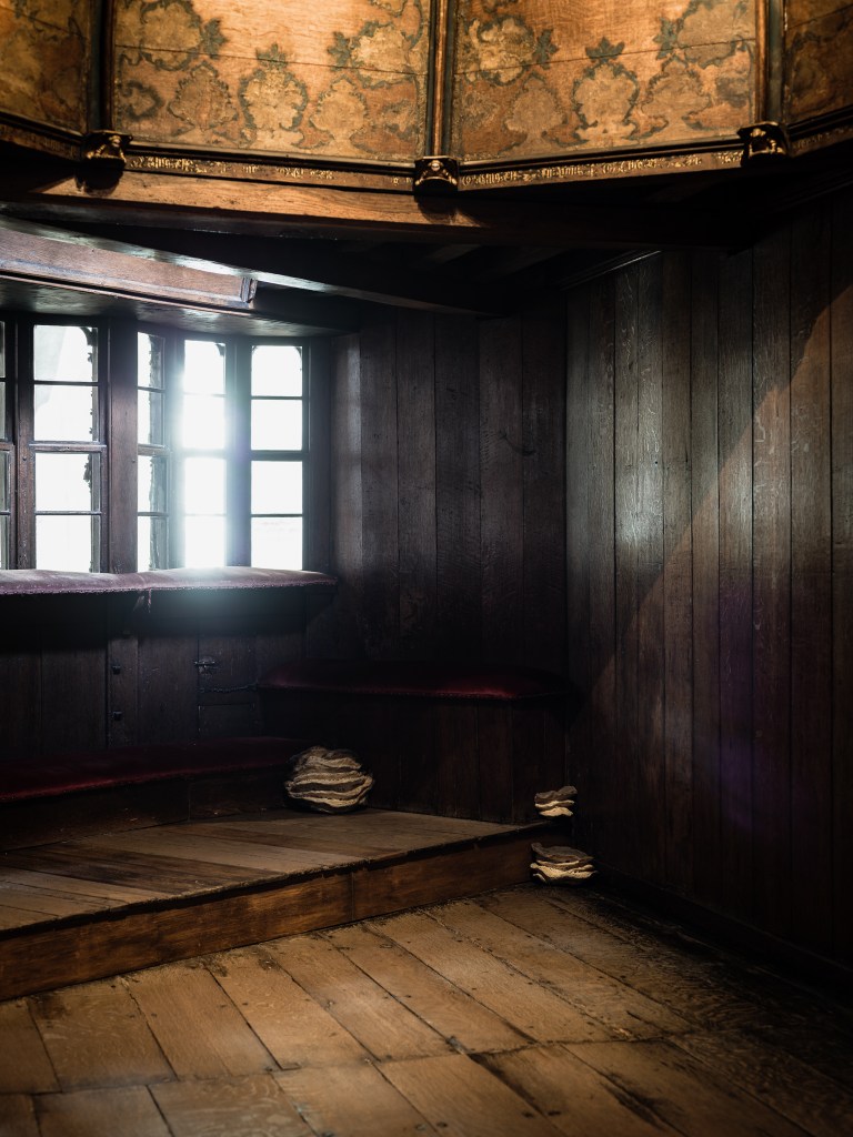 Maartje Korstanje
Untitled sculptures 2024
Ceramics.
Exhibited in the exhibition 'Rebel Garden' at Groeningemuseum, Brugge, BE.