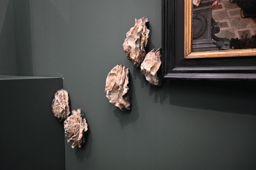 Maartje Korstanje
Untitled sculptures 2024
Ceramics.
Exhibited in the exhibition 'Rebel Garden' at Groeningemuseum, Brugge, BE.